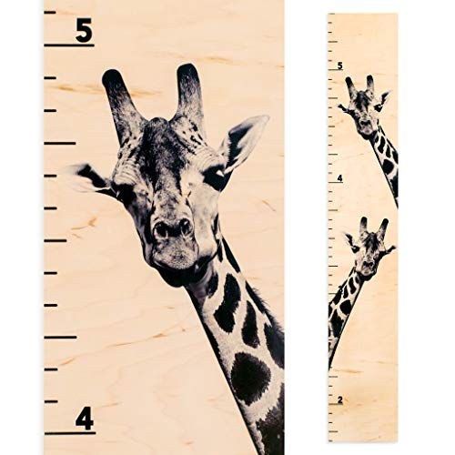 Image of Headwaters Studio Animals Growth Chart for Kids - Baby Height Chart Height Tracker Kids Wooden Growth Chart for Wall Grow Chart Height Chart for Kids Safari Nursery, Giraffes - 46"x75"x.25
