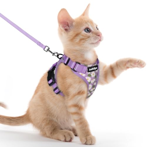 Image of rabbitgoo Cat Harness and Leash Set, Escape Proof Vest, Purr-ple Daisy