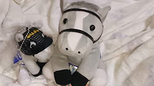 ウマ娘プリティダービー キャラクターのモデルになった競走馬をゆっくり解説 ゴールドシップ編 ニコニコ動画