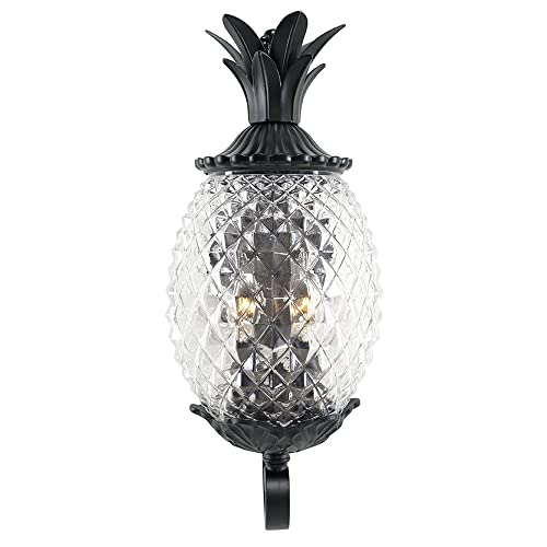 Acclaim 7501Bk Lanai Collection 2-Light Wall Mount Outdoor Light Fixture, Matte Black #TOP5
