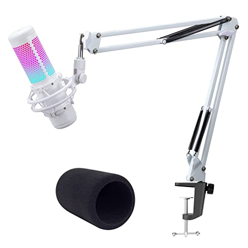 Microphone White Antipoping