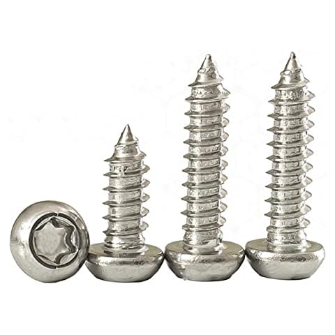Qrity 100 STÜCKE M5x20mm Selbstschneidende Schraube, Torx Flachkopfschrauben, Edelstahl Rundkopf Selbstbohrende Schrauben Cover