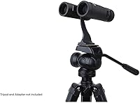 Vista 9 de Celestron – Binoculares TrailSeeker ED de 10 x 32 – Binoculares ED compactos para observación de aves y actividades al aire libre – Binoculares