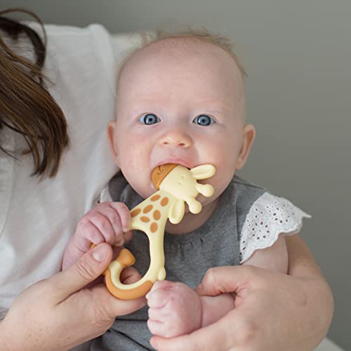 Dr. Brown'S TE450-P2 Ridgees Giraffe, Massaging Baby Teether thumb #3