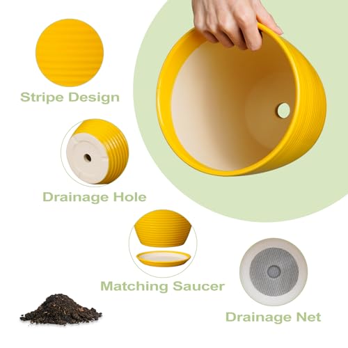 EPFamily Ceramic Plant Pot - 8 Inch Planter Pot with Drainage Hole and Saucer Round Planter for Indoor Outdoor Plants Flower Pot for Home Patio Garden Office Yellow by EPFamily - Used condition - Image 6