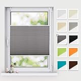 BelleMax Plissee ohne Bohren klemmfix Rollos für Fenster Blickdicht Easyfix klemmträger verspannt, 80x200 cm(BxH) Anthrazit