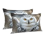 Snow Owl Pillowcase Super Soft Pillow Cases Luxury Fuzzy Decorative Pillowcases with Zipper Long Pillow Covers Standard Size 20'x30' Plush Cushion Case for All Seasons