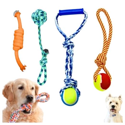 Kit 4 Brinquedo Pet Corda Mordedor Resistente Interativo Cachorro Forte