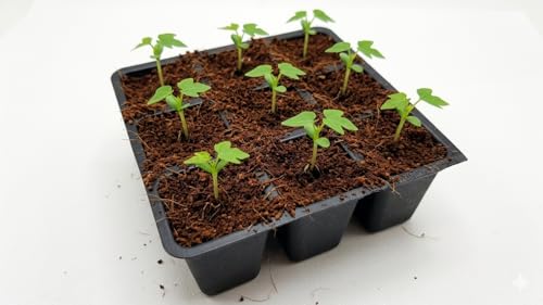 Image of Bio Blooms Agro India Pvt Ltd | Seedling Tray, Plastic Germination Tray for Seed Starting (9 Cavity, 10, Count)