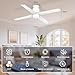Imagen de Ohniyou Ventilador de Techo con Luz