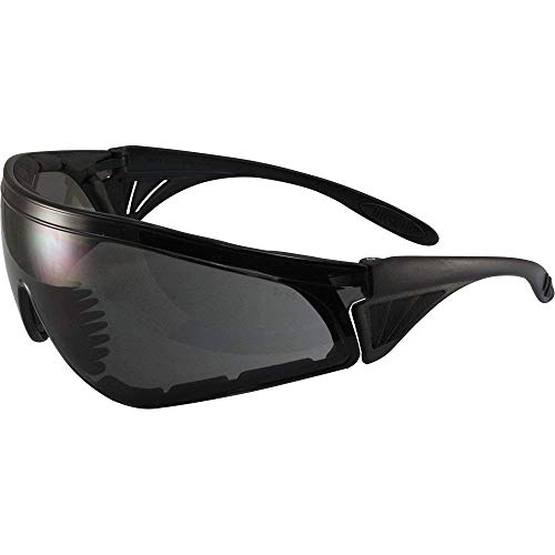 Global Vision Rattlesnake Padded Motorcycle Safety Sunglasses Black Frame Smoke Lens ANSI Z87.1