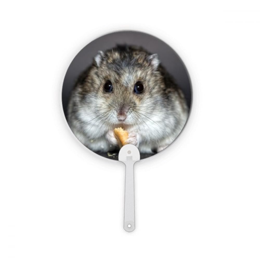 Éventail en plastique pour hamster au design artisanal et de forme ronde