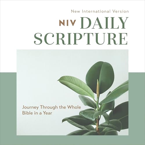 Page de couverture de Daily Scripture Audio Bible---New International Version, NIV: Complete Bible