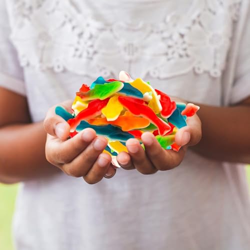 Al Rowad Jellopy Oily Dolphins Gummy Candy Bag, 1KG – Fun & Sweet Gummy Dolphins with a Splash of Flavor