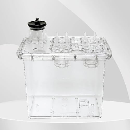 3L Air-Water Separation PC Tank Hydrogen-Rich Water Dispenser Hydrogen Generator Hydrogen Absorber Integrated Tank