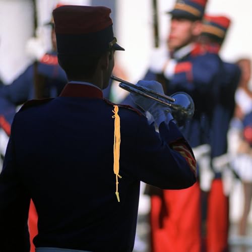 Cordón de aiguillette dorada para accesorios de uniforme formal y charreteras 6
