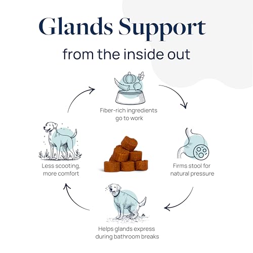 Veterinary Formula Anal Gland Support for Dogs – Vet-Formulated No Scoot Chews with Pumpkin, Ginger, Agave Inulin & Probiotics – Supports Scooting, Stool Quality & Digestive Health, 60 Soft Chews - Thumbnail 3