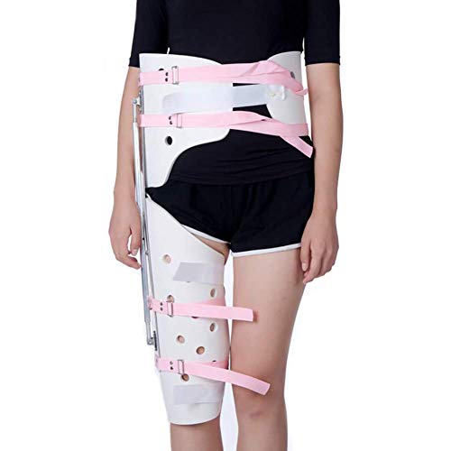 qbvu[XƑlaT|[gAu[XrT|[gAҊ֐߃u[X߉\qWtqbvO]veN^[EGXgbOu[XڍA90Cm