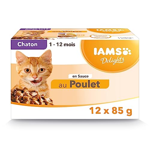 IAMS Nourriture Humide Chaton Poulet 12x85g