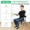 Evertrac Posture Back Belt with Assistive Lumbar Support Adjustable Ergonomic Belt for Upright Sitting, Lower Back Pain Relief & Improved Spine Alignment (Small to Large)