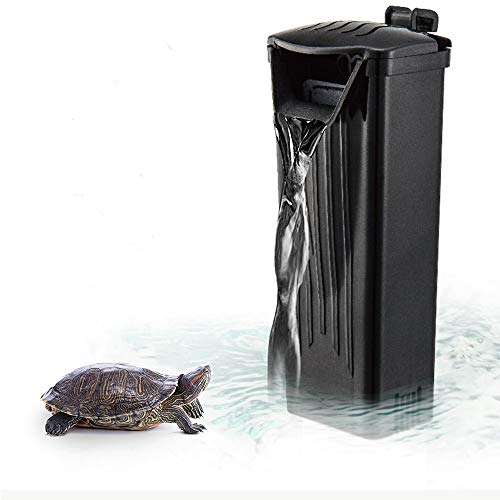 The Best Filter System For Turtles