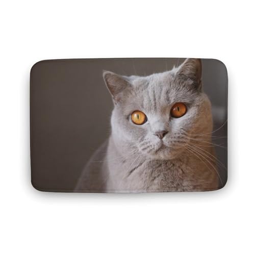 L   oX}bg z/唻 փ}bg  O   傫 ~ Aj LN^[ @}bg   ʏ