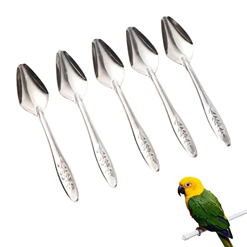 鳥 給餌 スプーン 5個セット ステンレス製 餌付けスプーン 両面巻き 水やり 餌やり 粉乳スプーン ひな給餌 オウム インコ セキセイインコ オカメインコ