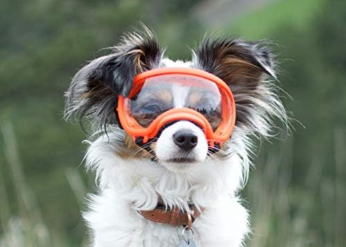 Rex Specs Dog Goggles - Eye Protection for The Active Dog