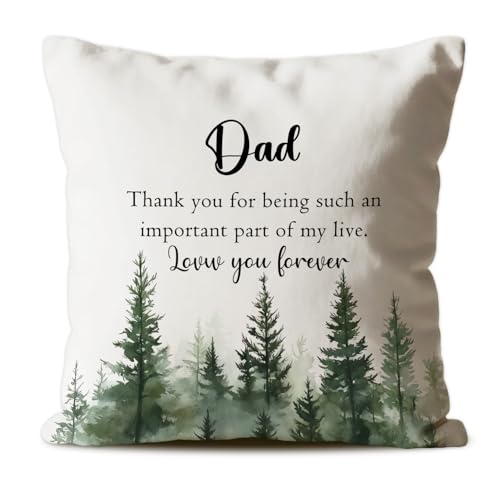 CosxHabitat Cozy Dad Throw Pillow Covers Thank You Gifts for Dad Father Heartwarming Father Gifts Cushion Pillow 18x18 inch