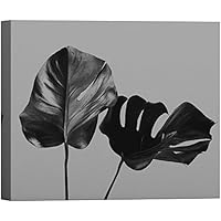 SIGNWIN Canvas Wall Art Tropical Coconut Palm Leaves Botanical Plants Photography Realism Modern Closeup Dramatic Black and White for Living Room, Bedroom, Office - 12x18 inches