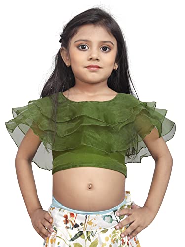Image of Integrity baby girls net & orgenza lehanga choli (2-8 Years)