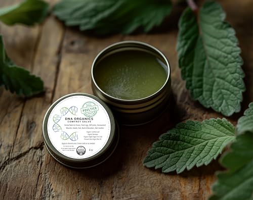 DNA Organics Comfrey Salve – Herbal Balm for Muscles, Bones, Knees & Joints – Organic, Handcrafted, Slow Infused, No Fillers – Scent-Free – for Dry Skin & Post-Workout Care – 4oz