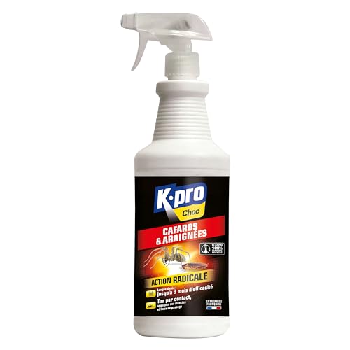 K.PRO CHOC - Spray Aérosol...