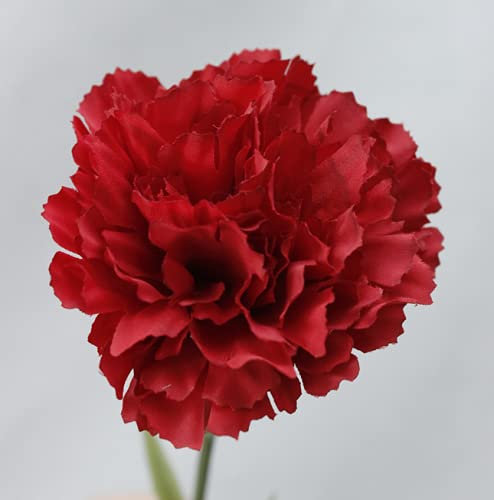 11 Inch Bouquets 10 Stem Carnations,Outdoor Uv Resistant No Fade Artificial Flower,Mini Carnation Silk Petals Fake Flowers Forever Plants For Photo Props Home Party And Wedding Decor (Red-10) #TOP4