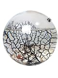 Glass Self Sustaining Shrimp Ecosphere Extra Large