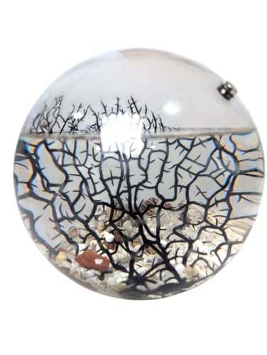Glass Self Sustaining Shrimp Ecosphere Extra Large