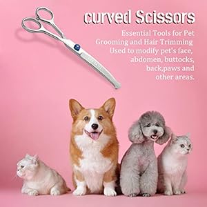 LILYS-PET-65-Right-handed-Pet-Round-Tip-Grooming-Stainless-steel-Safety-Grooming-for-Dogs-and-Cats-Curved-Scissor - Cucciolini Doodles   LILYS-PET-65-Right-handed-Pet-Round-Tip-Grooming-Stainless-steel-Safety-Grooming-for-Dogs-and-Cats-Curved-Scissor