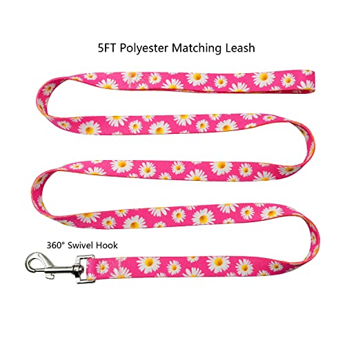 Olahibi ORTCI Dog Collar And Leash Set thumb #3