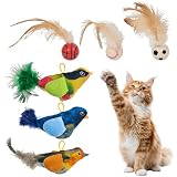 Hivexagon Jouets interactifs pour chats – Ensemble de plumes d'oiseaux réalistes suspendus
