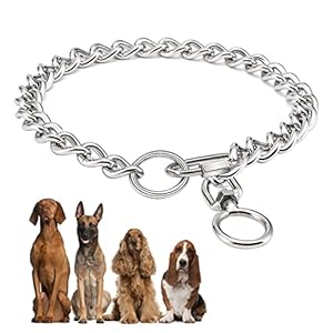 Collares de masticación hechos de Metal y de Acero Inoxidable P – Cadena con Cierre de conexión para Perros de cadena pequeños medianos y Grandes (A, L)