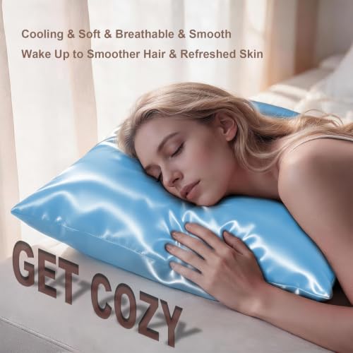 Image of LYSHIN Silk Pillow Cases 2 Pack Queen Size with Zipper, Sky Blue | 19 Momme Mulberry Silk Pillowcase for Skin and Hair, Anti-Acne, Hypoallergenic, Cooling, Beauty Sleep, Gifts for Women