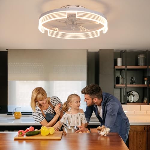CANEOE Ventilatore da Soffitto con Luce, 50cm