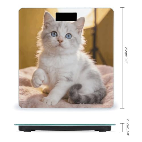 Báscula digital para baño con sensor preciso y pantalla LCD miniatura 2
