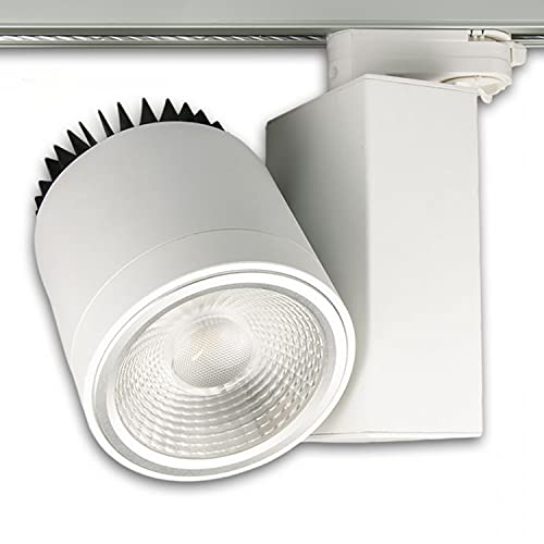 ISO LED Faretto Ferroviario PH 3 Fresh Meat Light