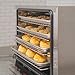 Kratos Commercial Oven, Half Size Electric Countertop Convection Oven, Holds Four Half Size Sheet Pans, 120V (29M-002)
