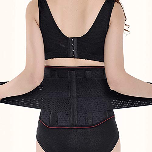 Best Kiwi Rata Waist Cincher
