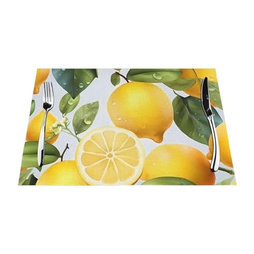 Sets de table PVC tissé résistant à la chaleur lavables pour décoration table cuisine rectangulaire