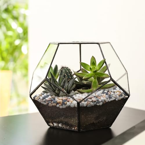 Image of 5 lbs Small Rocks for Plants, 1 /5 Inch Pebbles for Indoor Plants, Natural Decorative Pea Gravel for Aquarium, Fish Tank, Terrarium, Succulents, Bamboo Plants, Vases, Cactus, Crafts