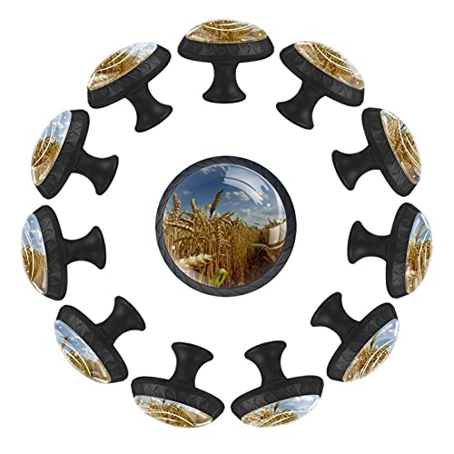 Boutons de tiroir ronds de 35 mm avec motif épi de blé pour commode - 2
