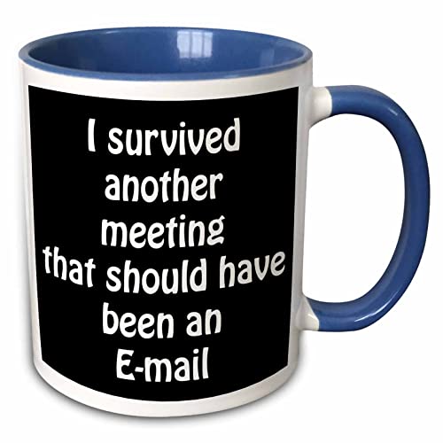 3dRose I survived another meeting that should have been an Email 15oz Two-Tone Blue Mug